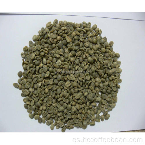 malla 14 hasta granos de café verde yunnan